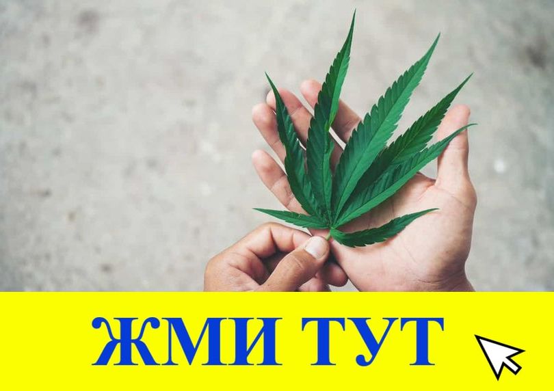 Купить наркотики в Петропавловске-Камчатском